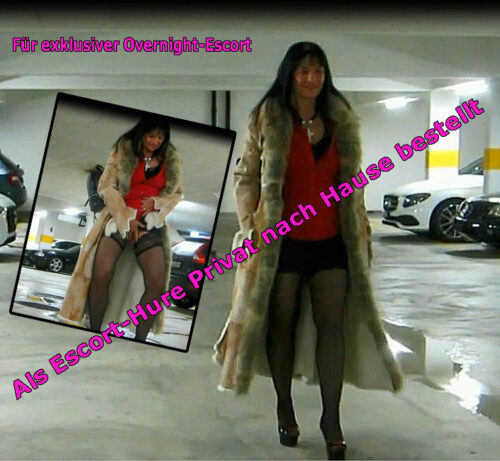 Gratis-Film: 20260101-Als Escort-Hure nach Hause bestellt...